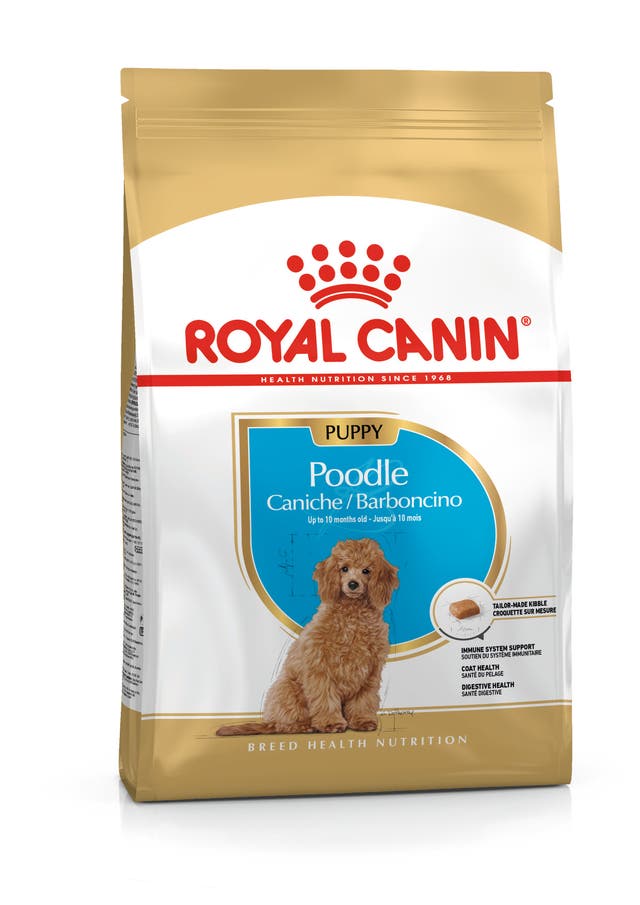 Royal Canin Poodle Puppy