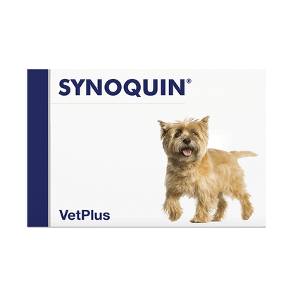 VetPlus Synoquin Hund Ergänzungsfuttermittel - Kautablette - small - 30 Tabletten 