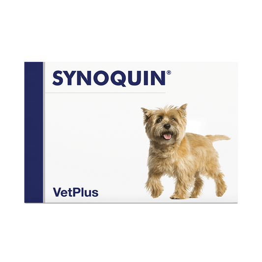 VetPlus Synoquin Hund Ergänzungsfuttermittel - Kautablette - small - 30 Tabletten 