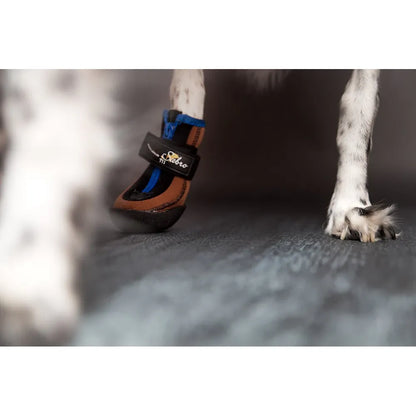 Sabro Toffler Pfotenschutz getragen