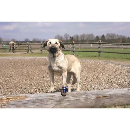 Sabro Toffler Pfotenschutz