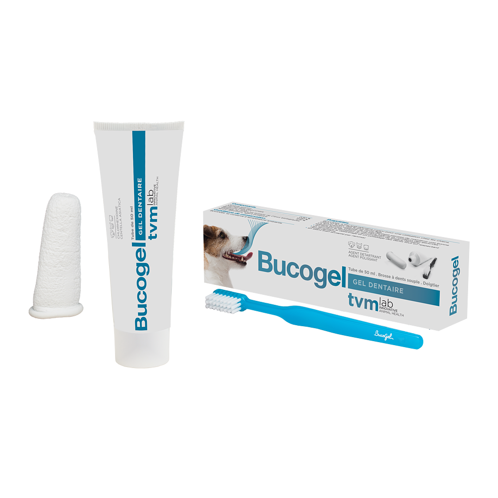 Tvm lab Bocogel Zahnhygiene Set für Hunde und Katzen