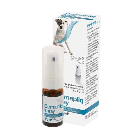 Tvm lab Dermapliq Spray für Hund/Katze/Pferd/Nager bei Hautproblemen