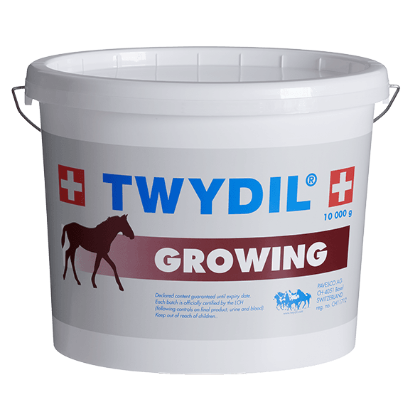 Twydil Growing - Pferd