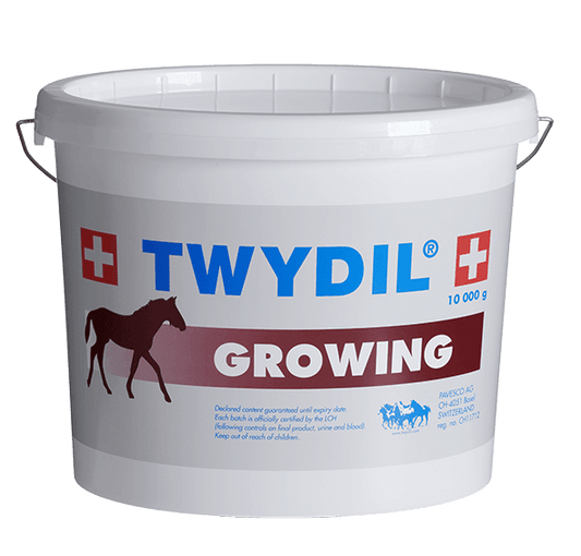 Twydil Growing - Pferd