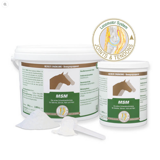 VETRIPHARM Msm für Pferde