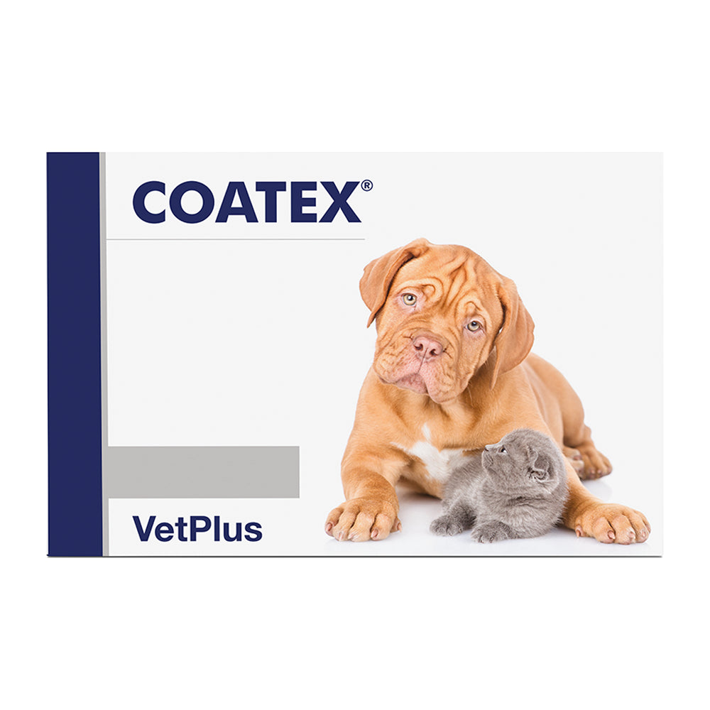 Vetplus Coatex Gelkapseln für Hund und Katze 60 Gelkapseln