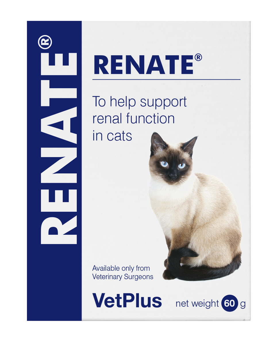 Vetplus Renate - Katze