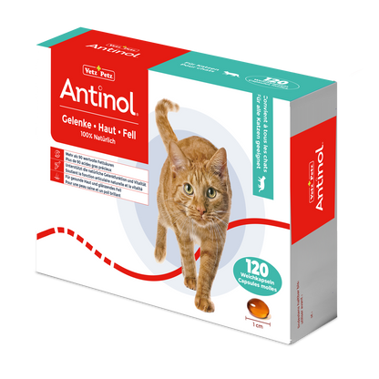Antinol für Katzen, unterstützt Gelenge, Haut und Fell - 120 Weichkapseln