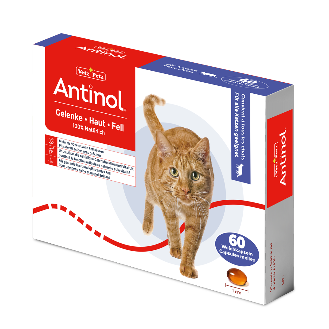 Antinol für Katzen, unterstützt Gelenge, Haut und Fell - 60 Weichkapseln