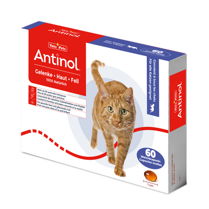 Antinol für Katzen, unterstützt Gelenge, Haut und Fell - 60 Weichkapseln