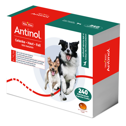 Antinol für Hunde, unterstützt Gelenke, Haut und Fell - 240 Weichkapseln