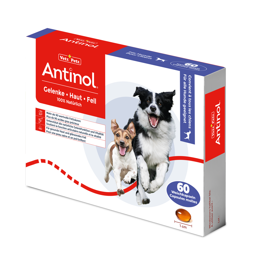 Antinol für Hunde, unterstützt Gelenke, Haut und Fell - 60 Weichkapseln
