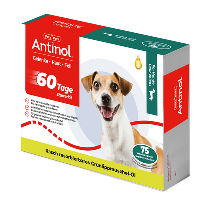 Antinol Starterkit für Hunde, unterstützt Gelenke, Haut und Fell - 75 Weichkapseln