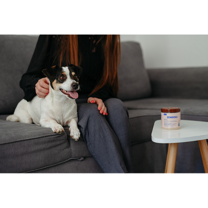 Virbac Zenidog Gel Diffuser für Hunde 230g