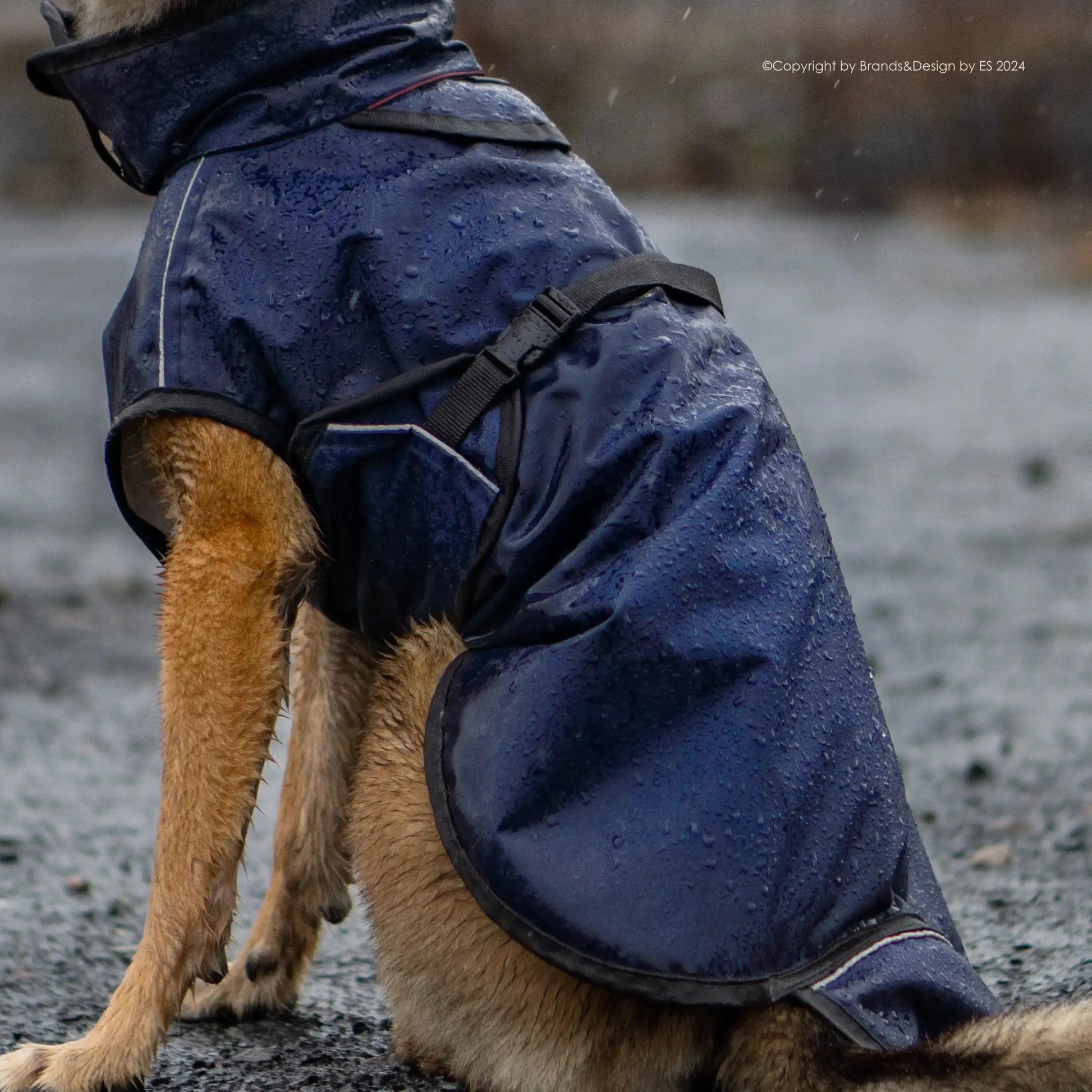 Active Cape Elastic Wind/Rain - MINI & STANDARD - Action Factory - Marigin AG Onlineshop für Tierbedarf Active Cape Elastic Wind/Rain - MINI & STANDARD - Mini - AUSLAUFMODELL / 30cm / Dunkelblau Mantel