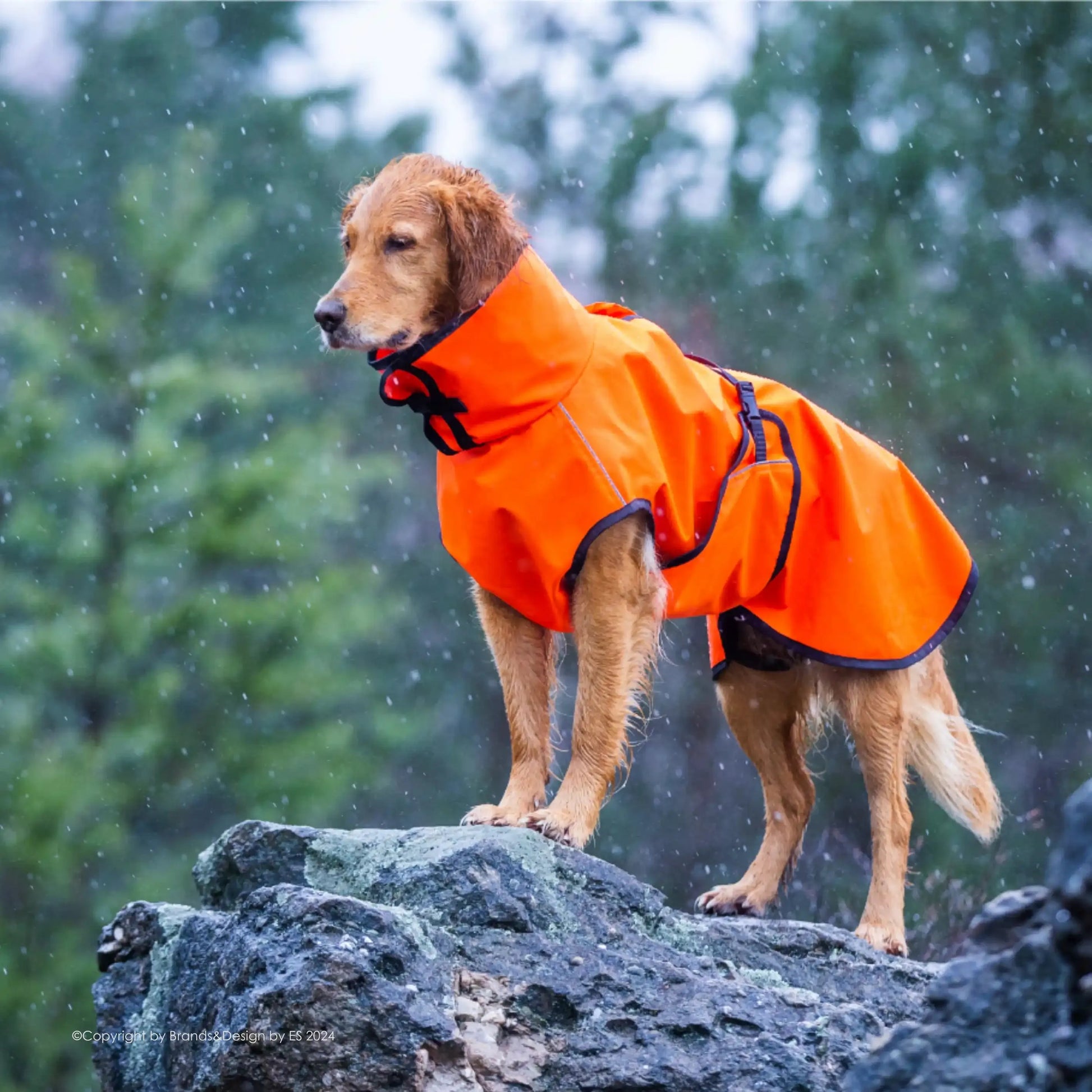 Active Cape Elastic Wind/Rain - MINI & STANDARD - Action Factory - Marigin AG Onlineshop für Tierbedarf Active Cape Elastic Wind/Rain - MINI & STANDARD - Standard (XS-XXL) - AUSLAUFMODELL / XS / 51 cm / Orange Mantel