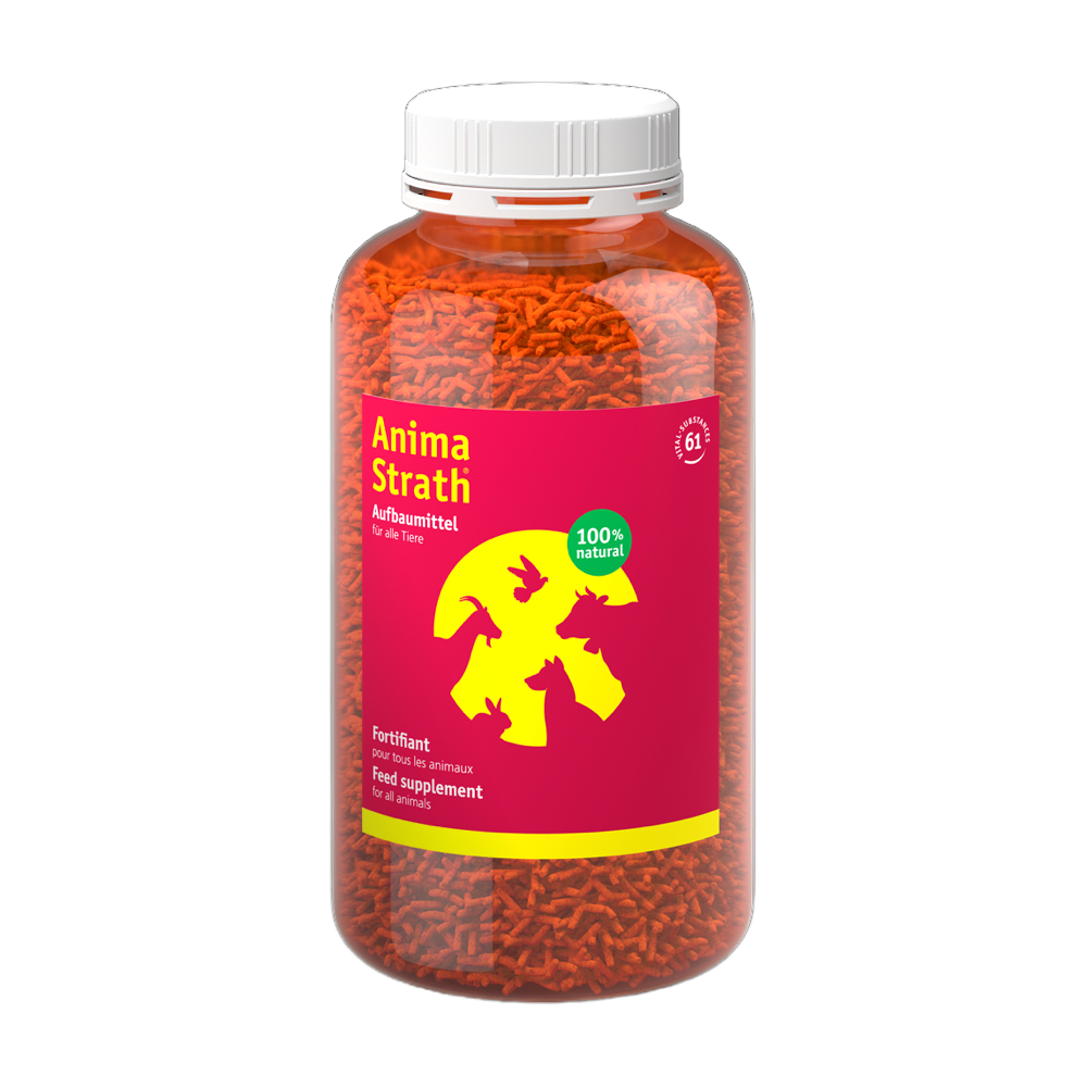 Anima-Strath Katze/Hund/Exoten - Granulat/Tabletten - Bio-Strath AG - Marigin AG Onlineshop für Tierbedarf Anima-Strath Katze/Hund/Exoten - Granulat/Tabletten - Granulat / 500g Ergänzungsfuttermittel