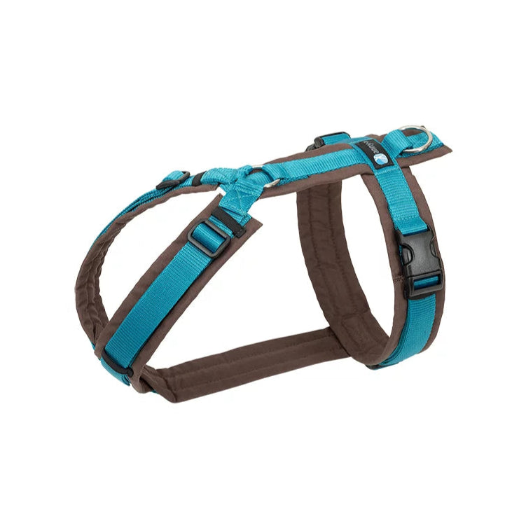 annyx brustgeschirr fun braun/petrol, XXS, XS, S, M, L, XL