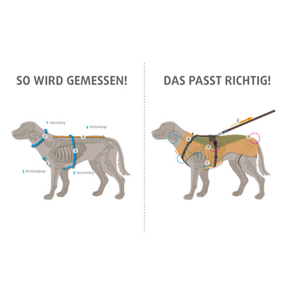 Annyx Mantelgeschirr Fun - Hund