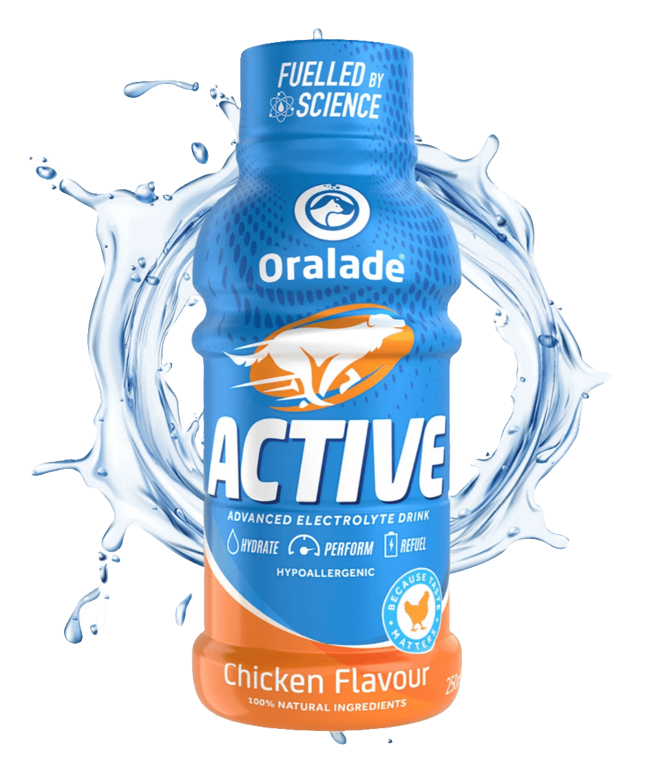 Oralade Active Dog