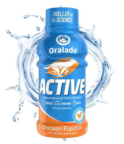 Oralade Active Dog