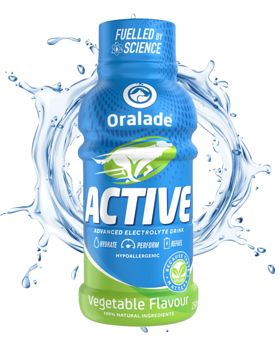 Oralade Active Dog