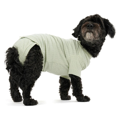 Buster Body Suit Step'n Go - Hund - Kruuse - Marigin AG Onlineshop für Tierbedarf Buster Body Suit Step'n Go - Hund - Dusty Green / XS Zubehör