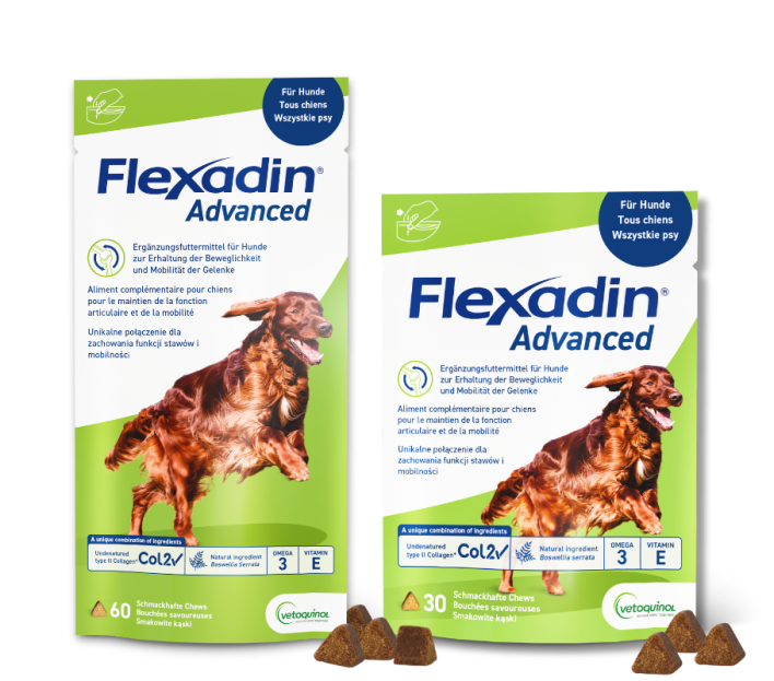 Flexadin Advanced, 30 und 60 Chews, für Hunde