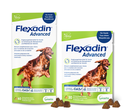 Flexadin Advanced, 30 und 60 Chews, für Hunde