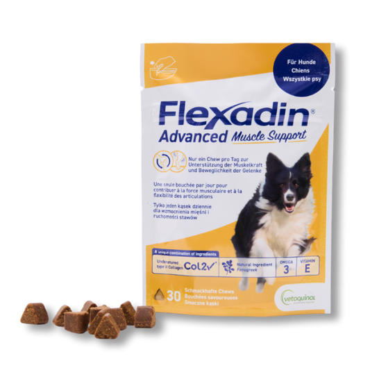 Flexadin Advanced Muscle Support, 30 und 60 Chews, für Hunde