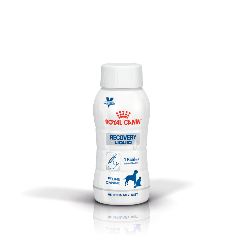 Royal Canin Recovery Liquid Hund und Katze
