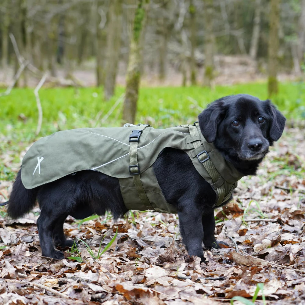 Annyx Mantelgeschirr Fun - Hund