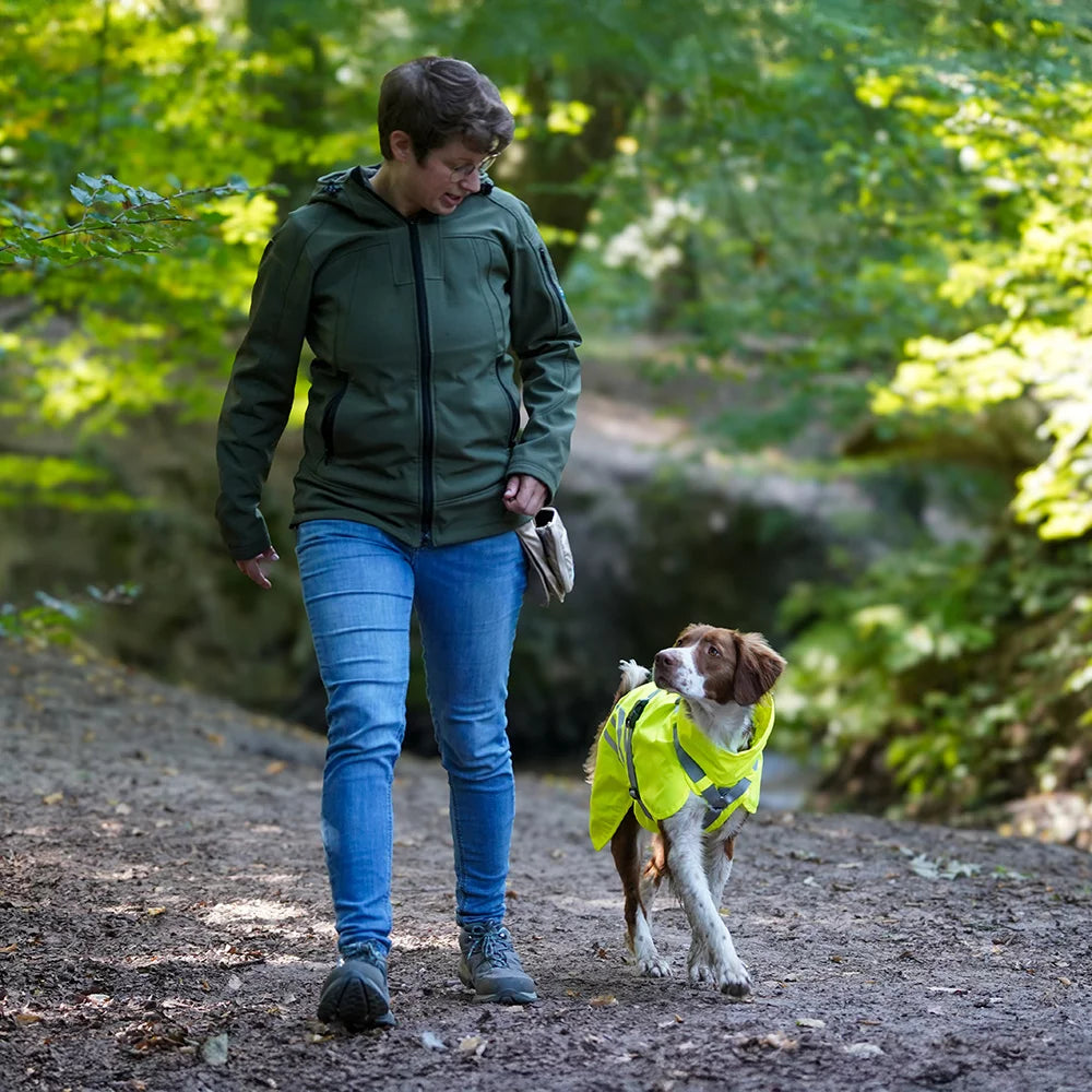 Annyx Mantelgeschirr Lightning - Hund