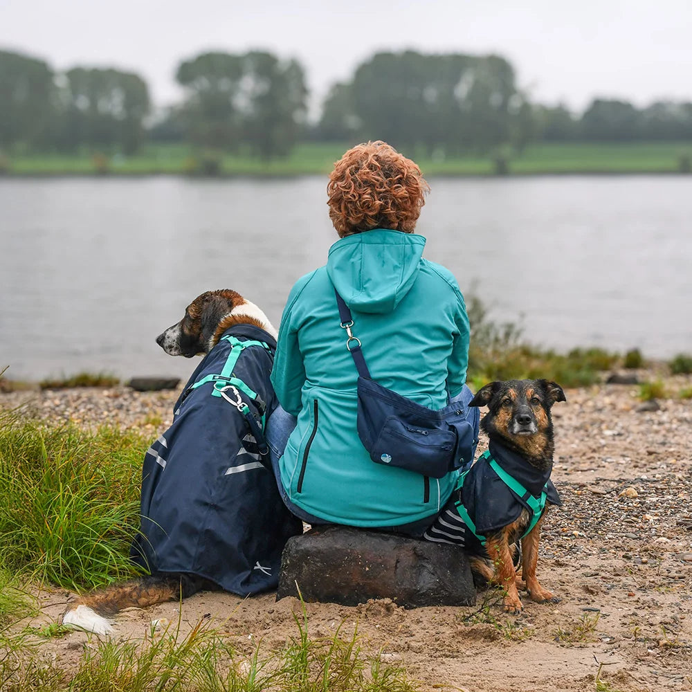 Annyx Mantelgeschirr Storm - Hund