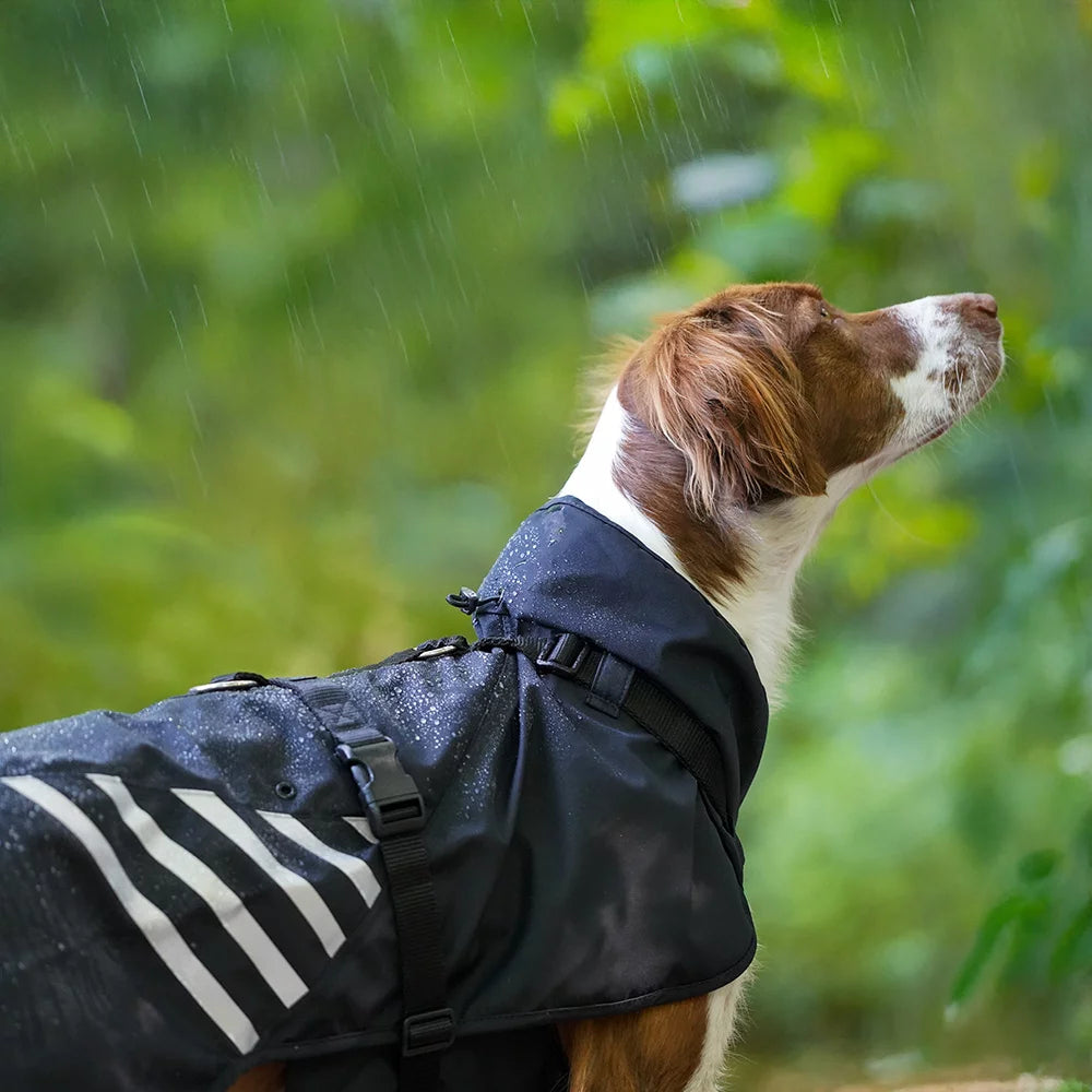 Annyx Mantelgeschirr Storm - Hund