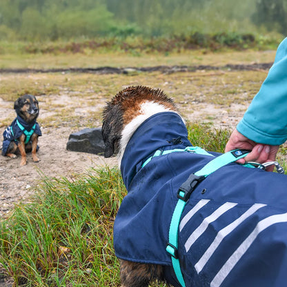 Annyx Mantelgeschirr Storm - Hund