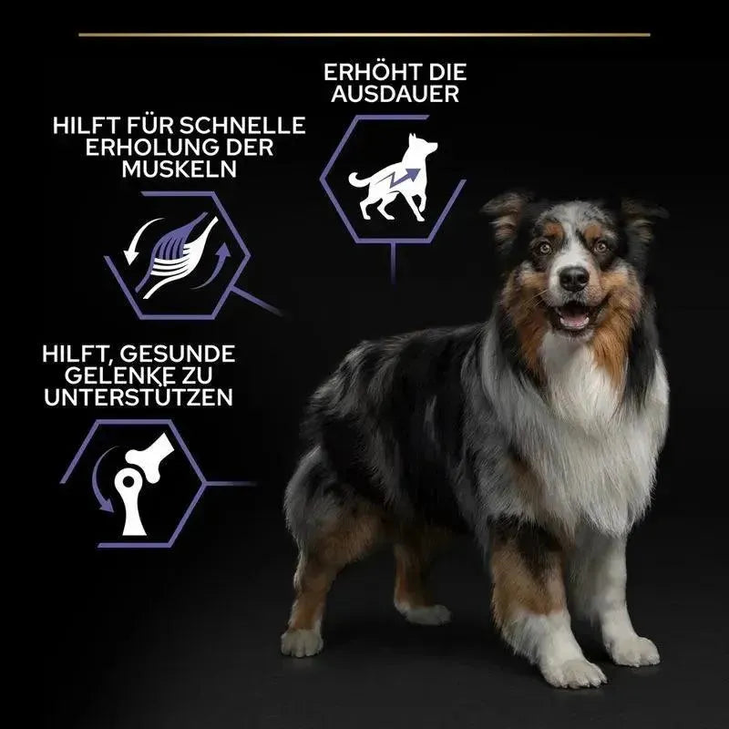 Purina All Sizes Adult Performance Hund - Trockenfutter - Purina ProPlan - Marigin AG Onlineshop für Tierbedarf Purina All Sizes Adult Performance Hund - Trockenfutter - Huhn / 14kg Futter