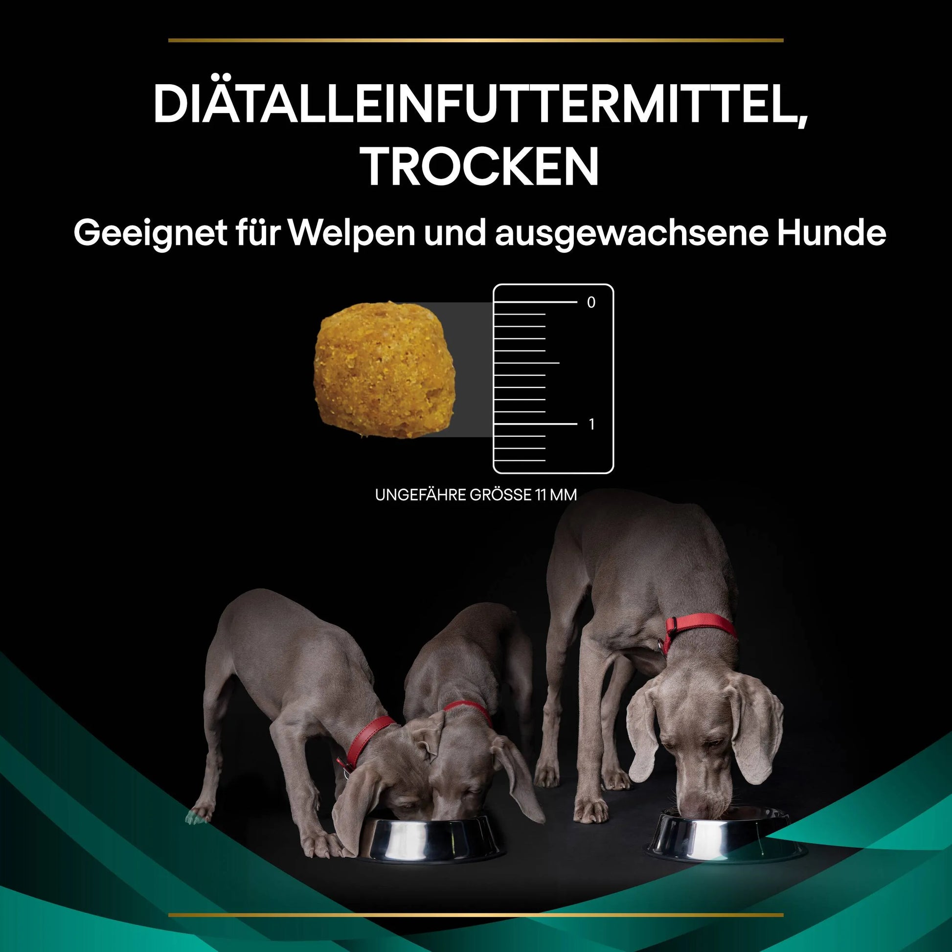 Purina Canine EN Gastrointestinal Beutel für Hunde mit Magen-Darm-Problemen, Futtergröße
