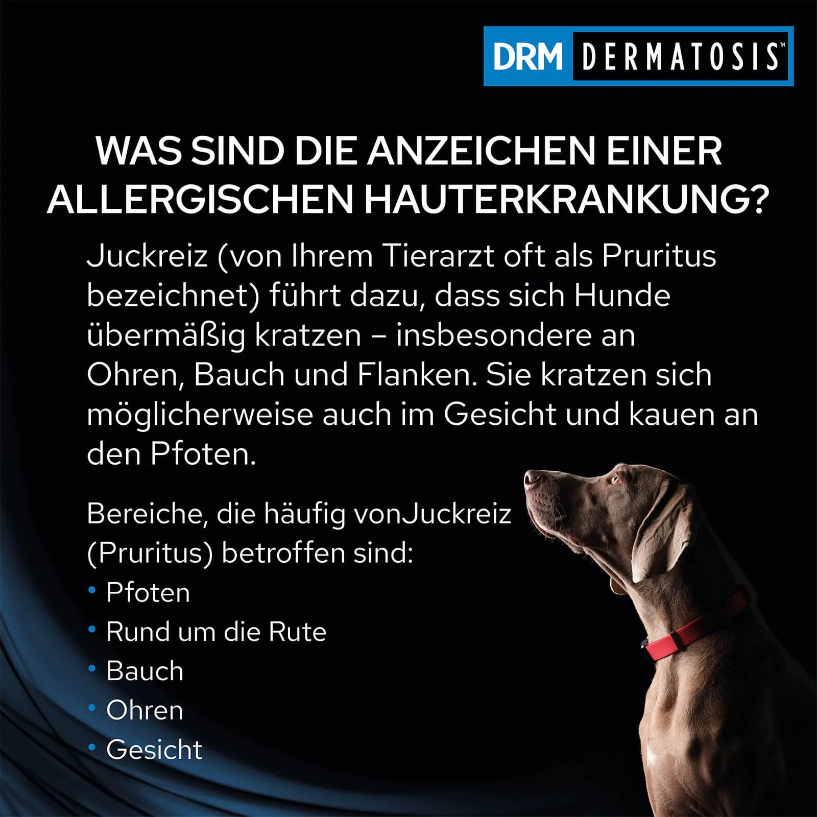 Purina DRM Dermatosis Beutel für Hunde mit Hautproblemen, Symptome
