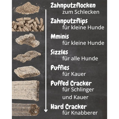 Sizzles - Hund