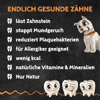 Sizzles - Hund