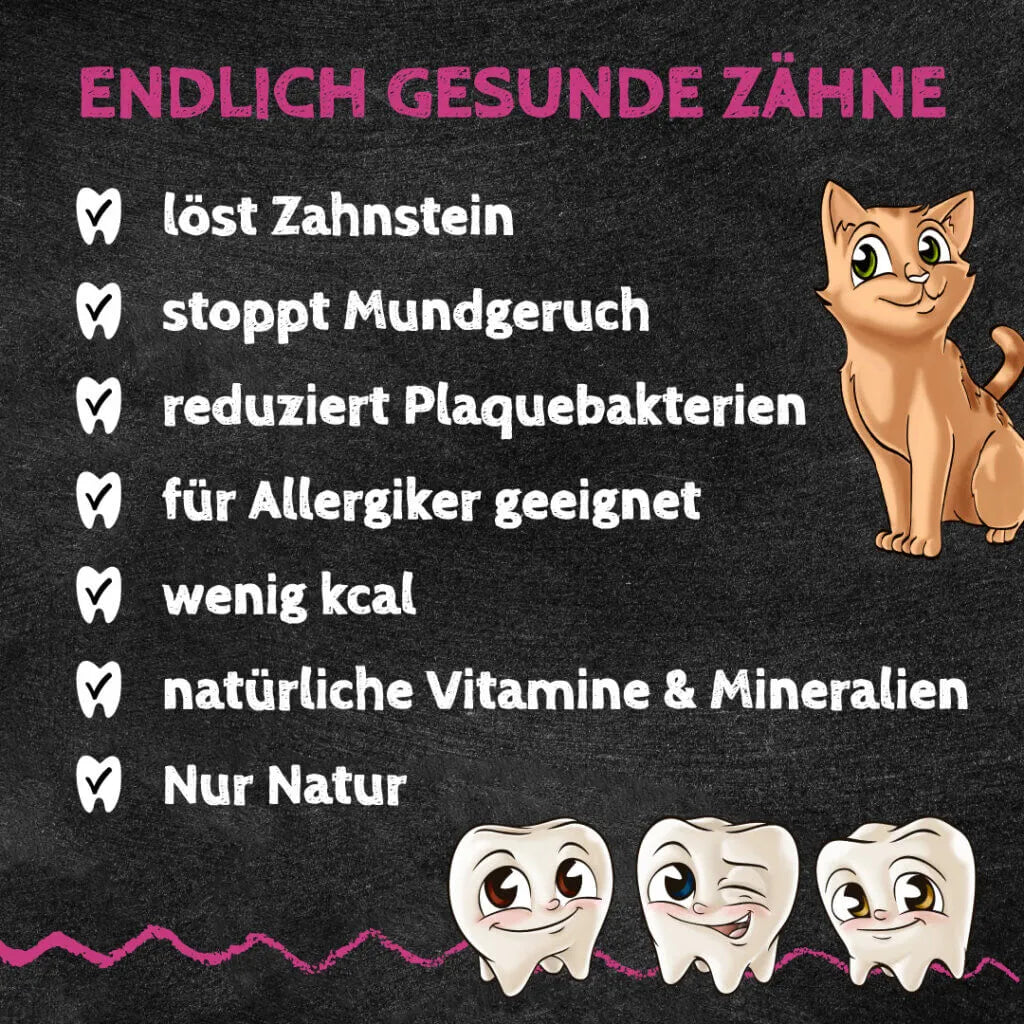 Mminis - Katze