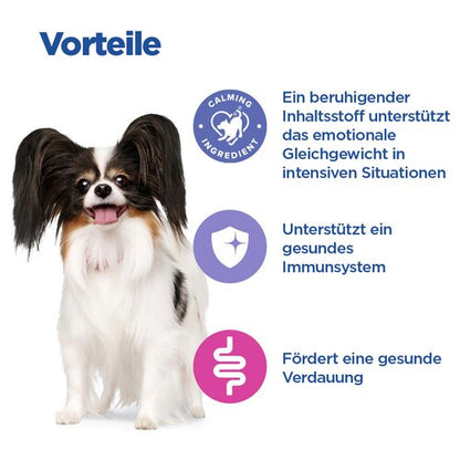 Hill's Multi-Benefit Calm Adult Small & Mini - Hund
