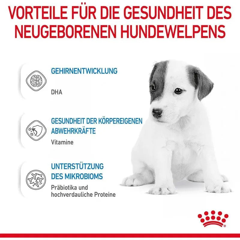 Royal Canin Babydog Milk - Welpen - Royal Canin Veterinary Diet - Marigin AG Onlineshop für Tierbedarf Royal Canin Babydog Milk - Welpen - 400 g Futter