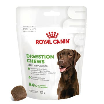 Royal Canin Digestion Chews Adult - Hund