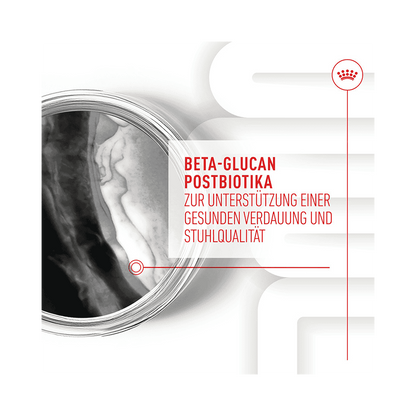 Royal Canin Immunity & Digestion Chews Puppy - Hund