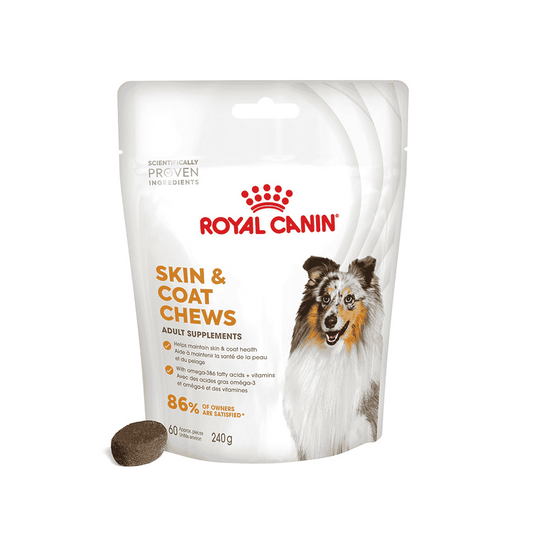 Royal Canin Skin & Coat Chews - Hund