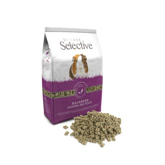 Science Selective Guinea Pig