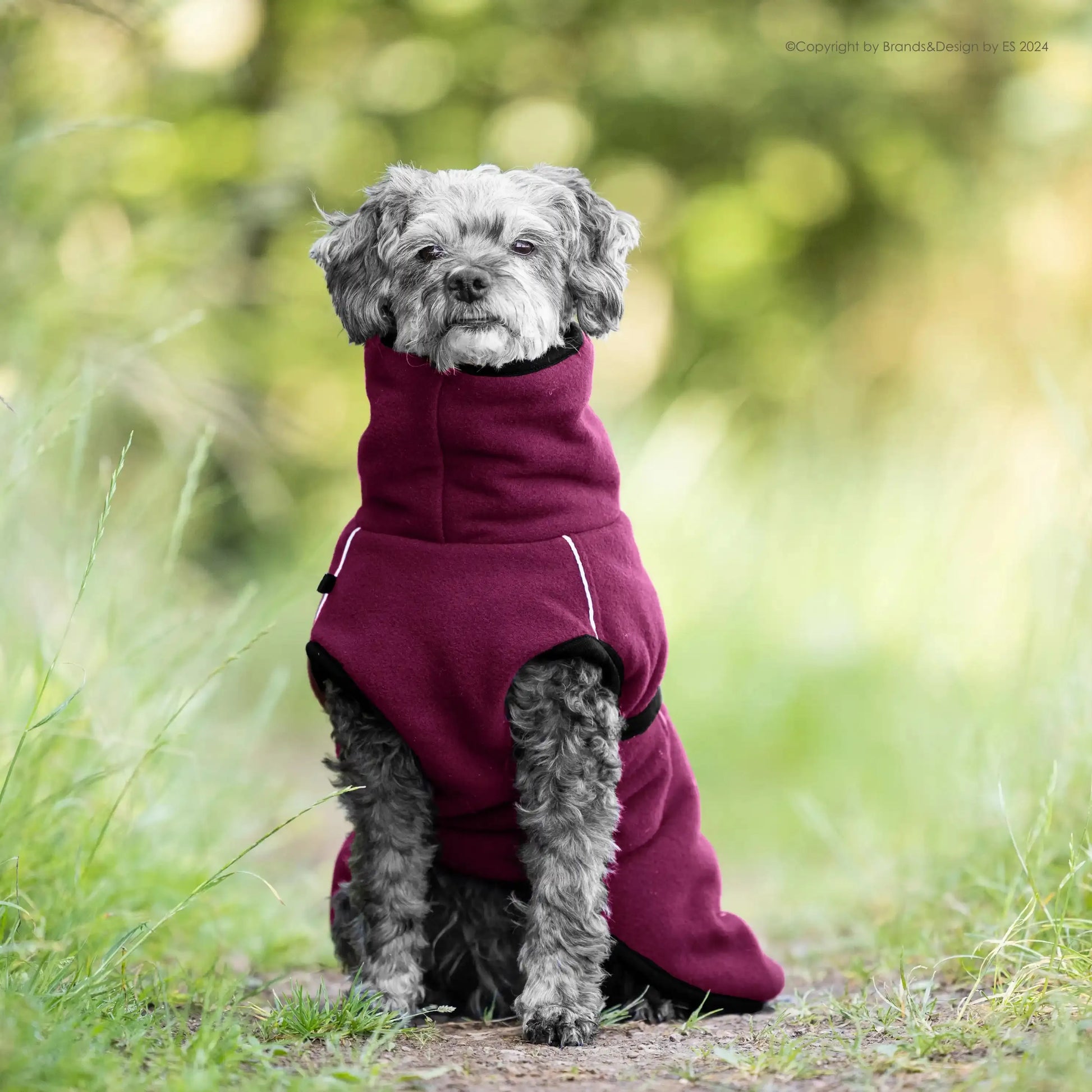 Warmup Cape PRO - Action Factory - Marigin AG Onlineshop für Tierbedarf Warmup Cape PRO - MINI / 30cm / Bordeaux Mantel